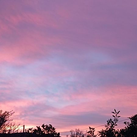Sunset Lägenhet Rodhina Exteriör bild